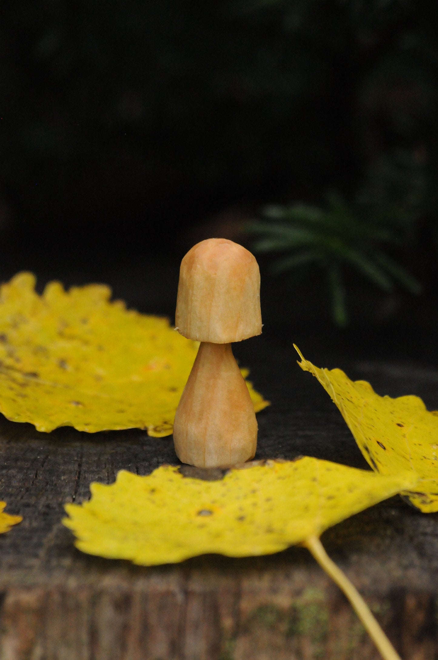 🍄 Hand Carved Wooden Mushroom – Untreated & Natural