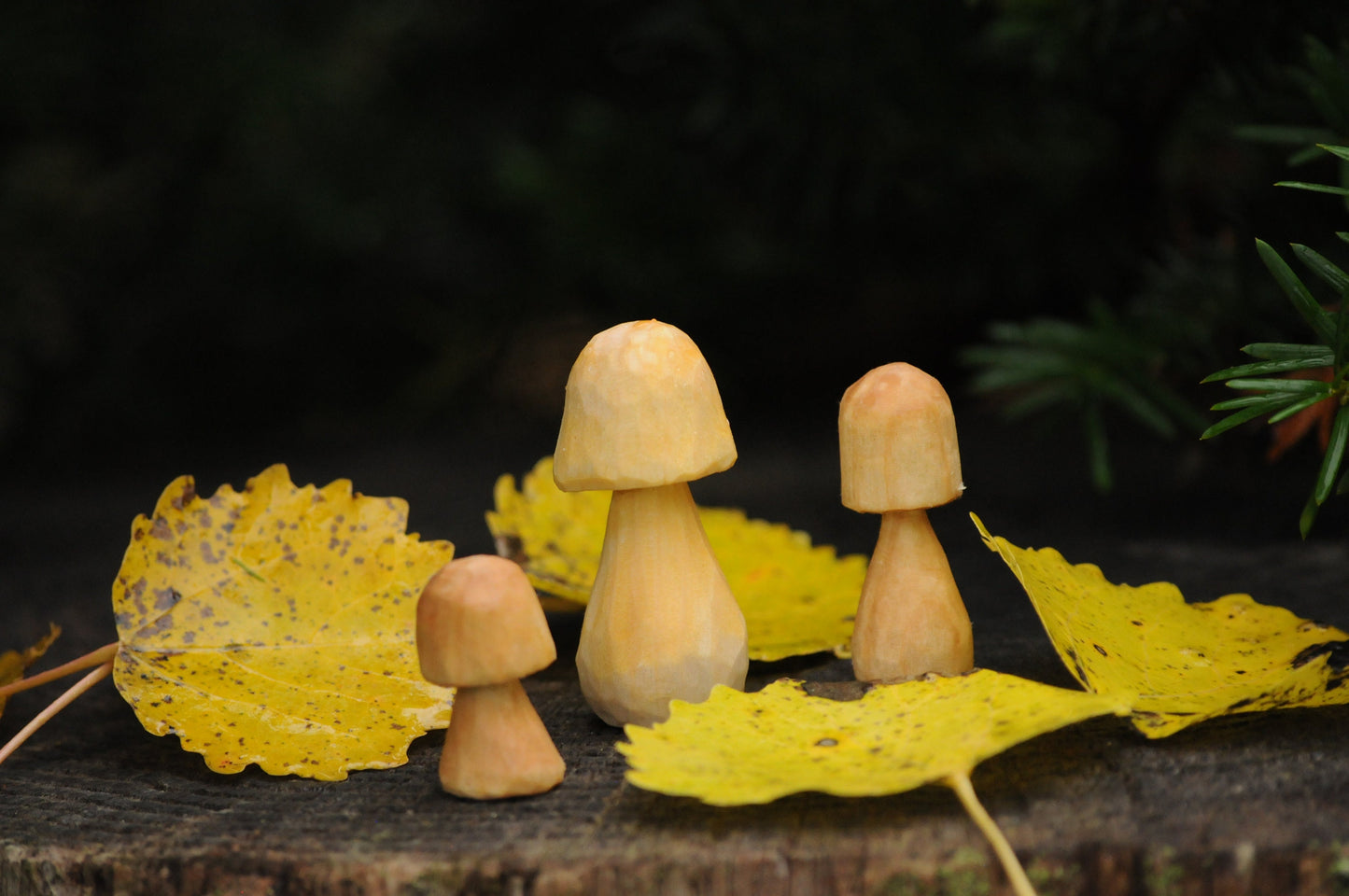 🍄 Hand Carved Wooden Mushroom – Untreated & Natural