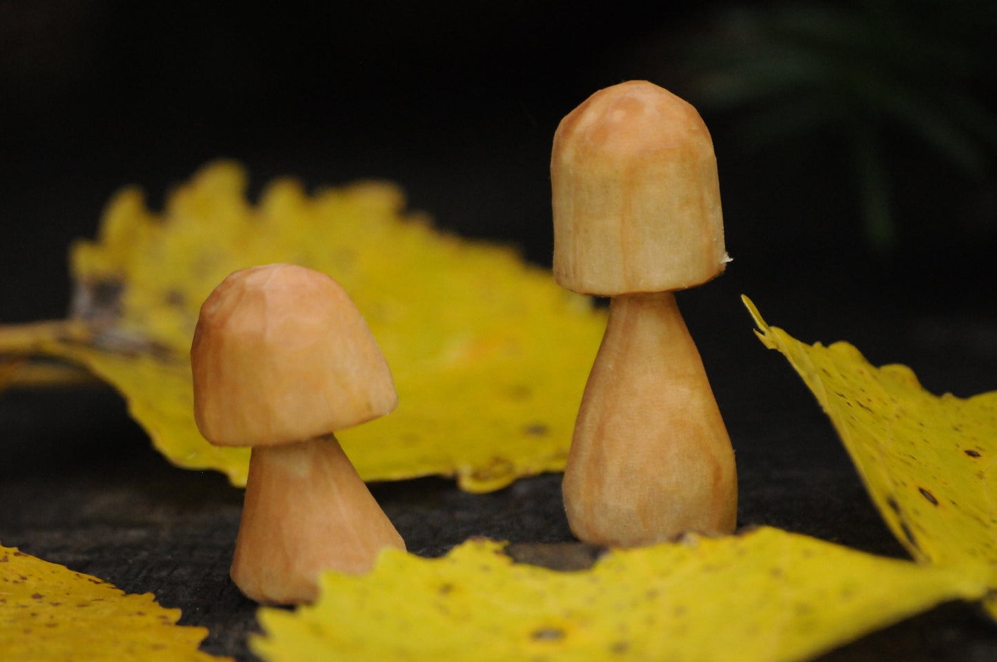 🍄 Hand Carved Wooden Mushroom – Untreated & Natural