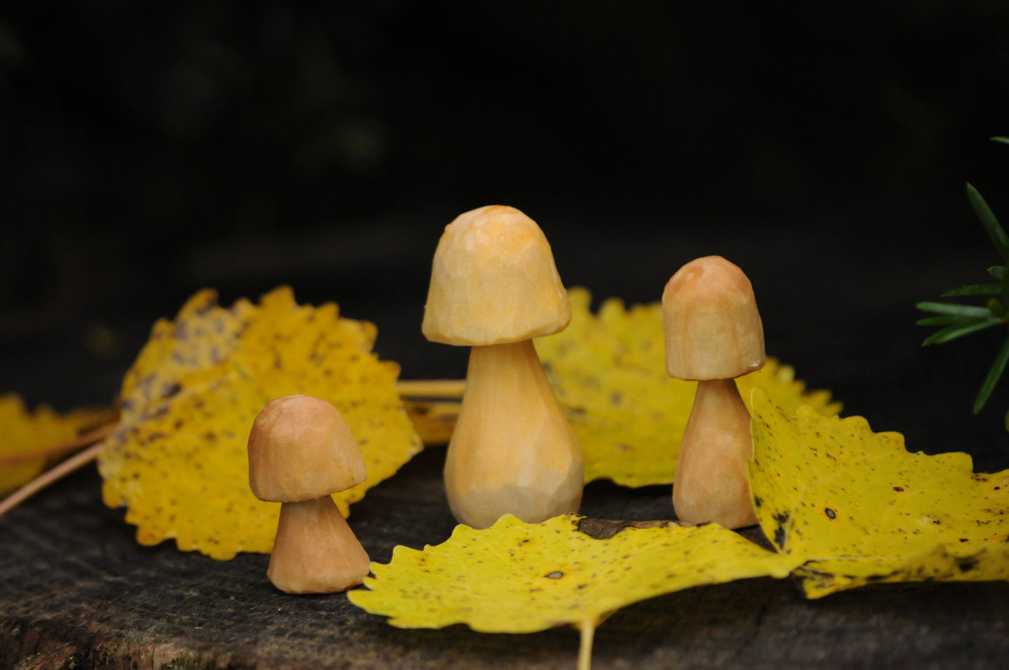 🍄 Hand Carved Wooden Mushroom – Untreated & Natural
