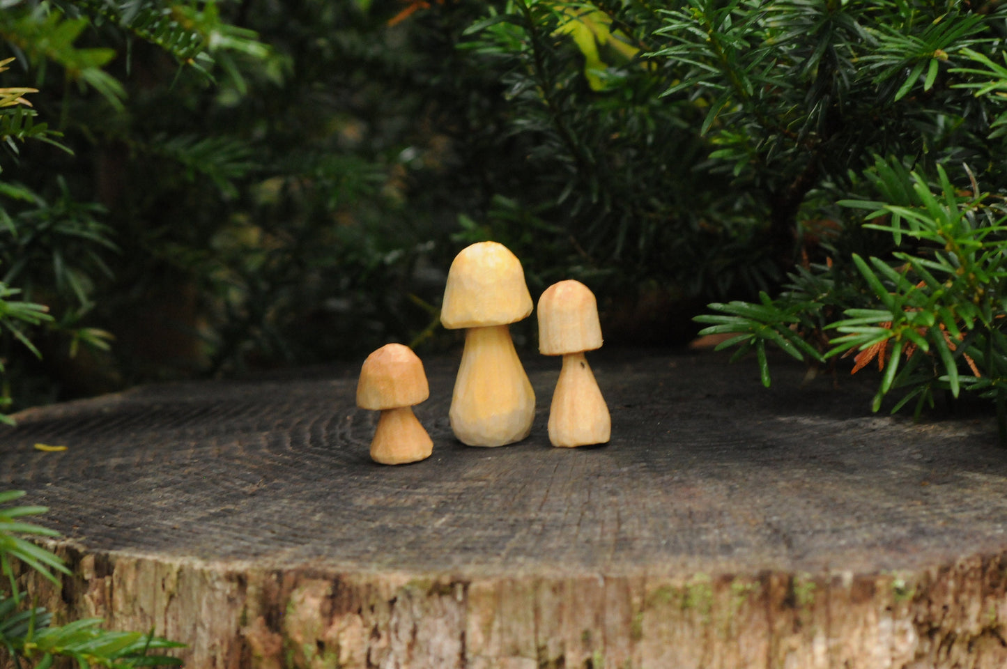 🍄 Hand Carved Wooden Mushroom – Untreated & Natural