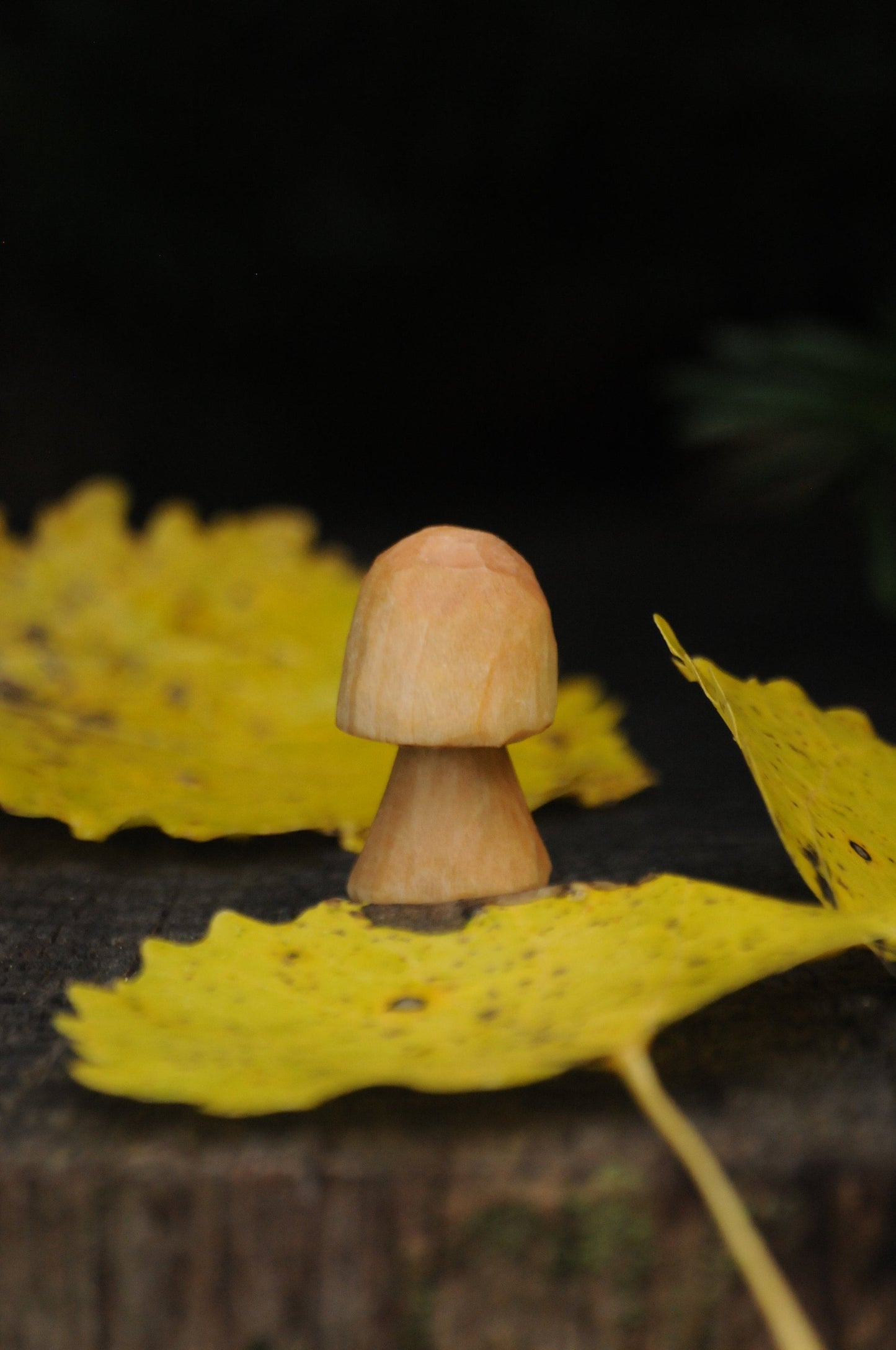🍄 Hand Carved Wooden Mushroom – Untreated & Natural