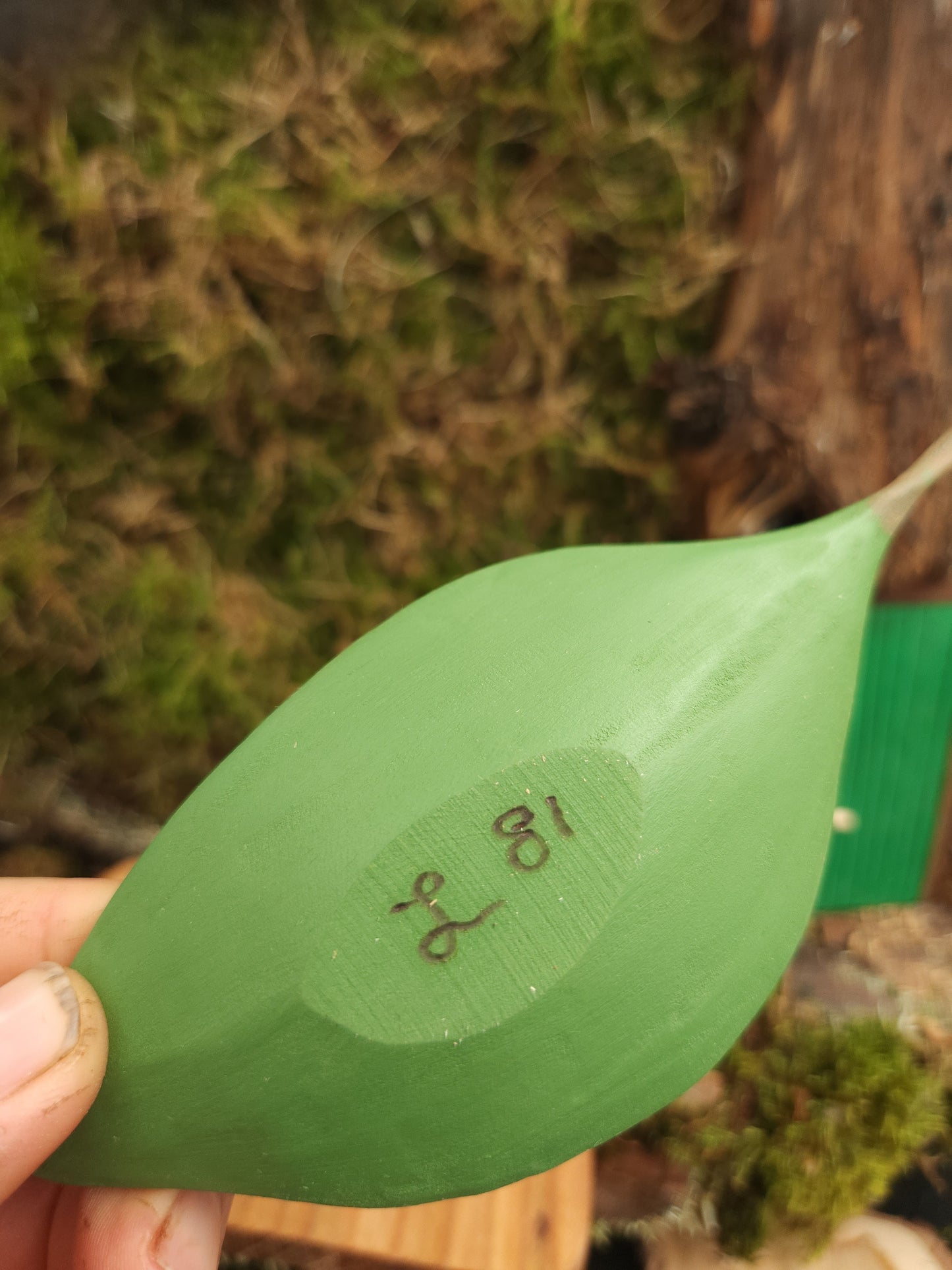 Handtäljd Nisse sovande på blad – äggoljetempera nr 81