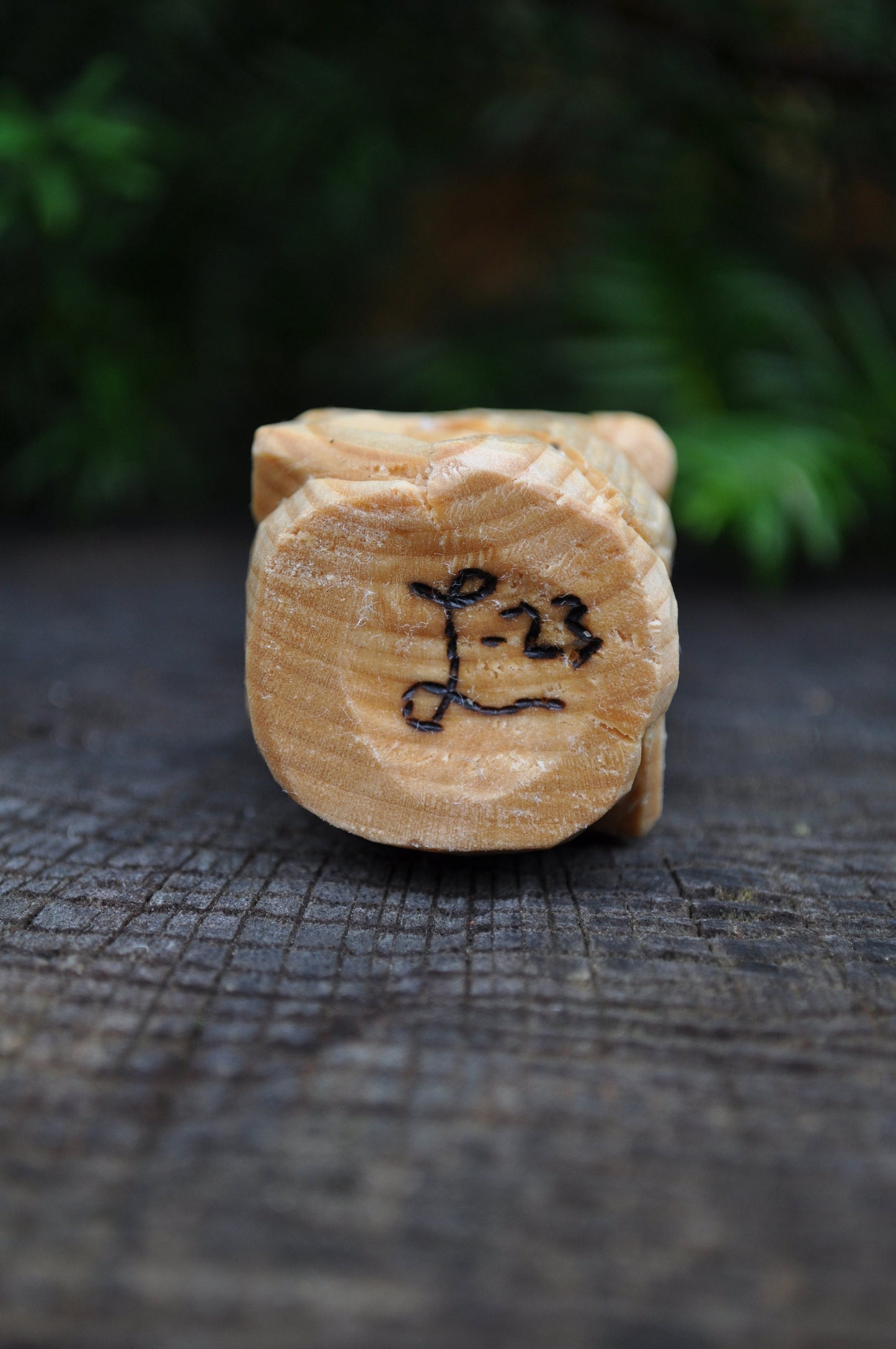 🍄 Hand Carved Wooden Mushroom – Untreated & Natural