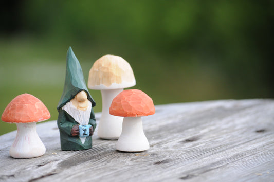 Unique Mushrooms