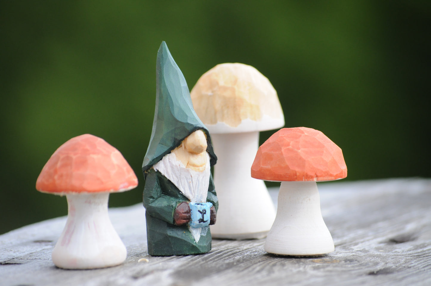 Unique Mushrooms